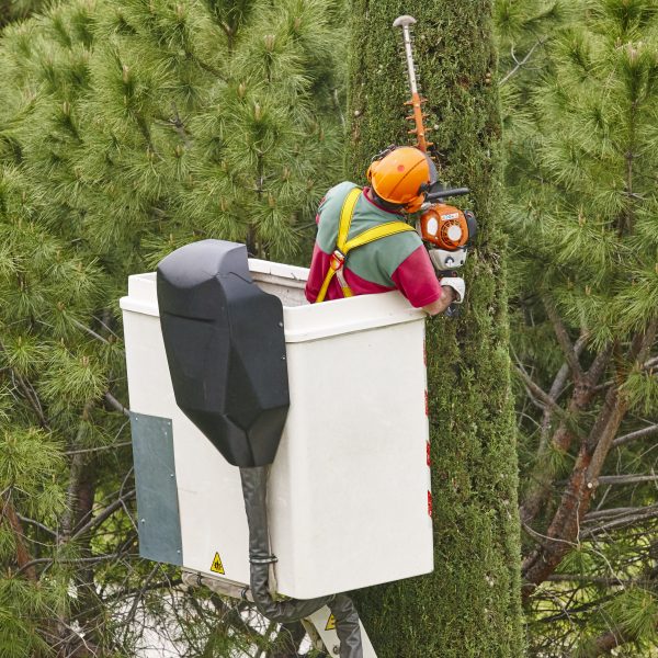 Equiped worker pruning a tree on a crane. Gardening works